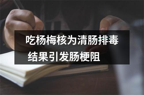 吃杨梅核为清肠排毒 结果引发肠梗阻