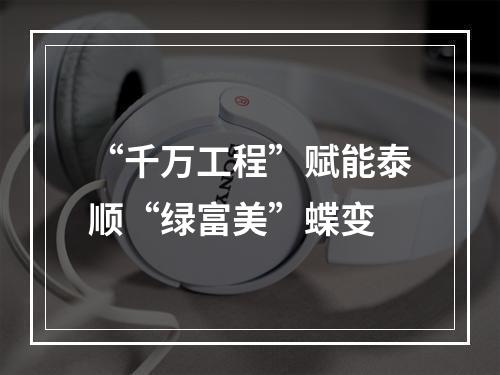 “千万工程”赋能泰顺“绿富美”蝶变