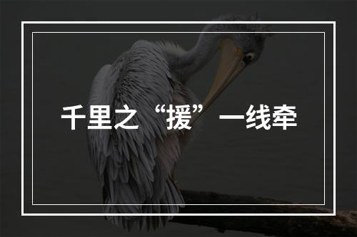 千里之“援”一线牵