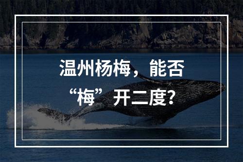 温州杨梅，能否“梅”开二度？