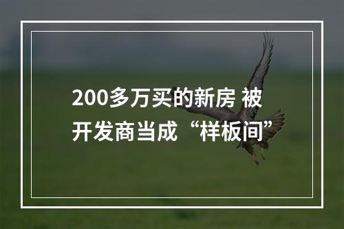 200多万买的新房 被开发商当成“样板间”