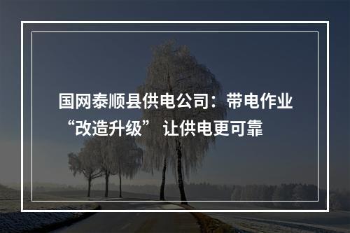 国网泰顺县供电公司：带电作业“改造升级” 让供电更可靠