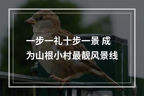 一步一礼十步一景 成为山根小村最靓风景线