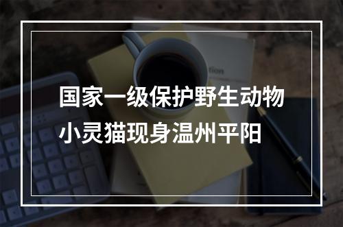 国家一级保护野生动物小灵猫现身温州平阳