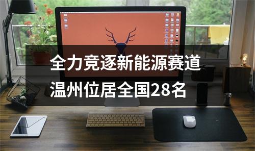 全力竞逐新能源赛道 温州位居全国28名