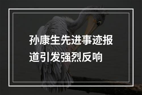 孙康生先进事迹报道引发强烈反响