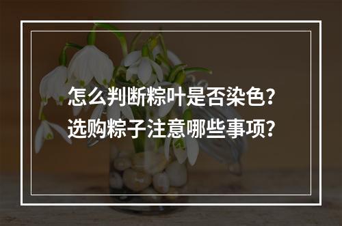 怎么判断粽叶是否染色？选购粽子注意哪些事项？