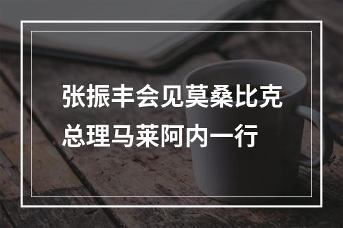 张振丰会见莫桑比克总理马莱阿内一行