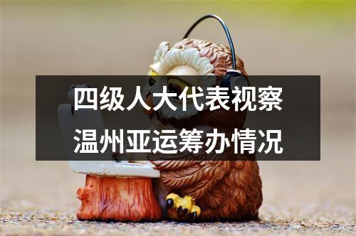 四级人大代表视察温州亚运筹办情况