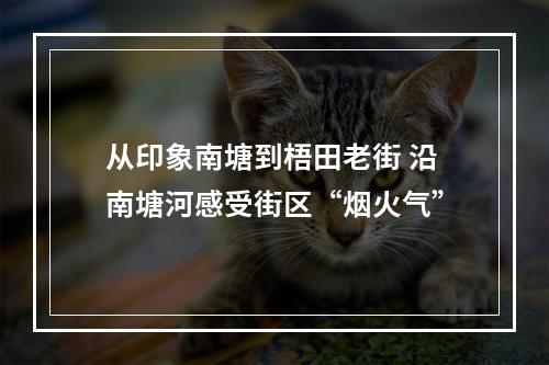 从印象南塘到梧田老街 沿南塘河感受街区“烟火气”