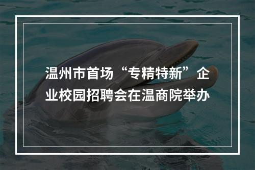 温州市首场“专精特新”企业校园招聘会在温商院举办