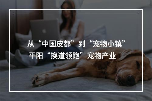 从“中国皮都”到“宠物小镇” 平阳“换道领跑”宠物产业