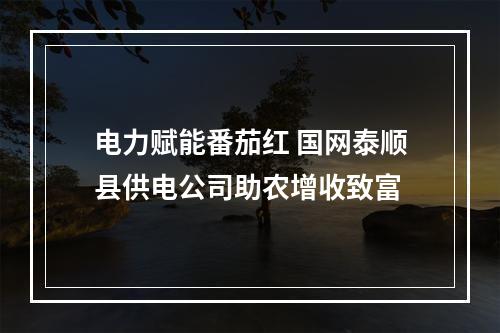 电力赋能番茄红 国网泰顺县供电公司助农增收致富