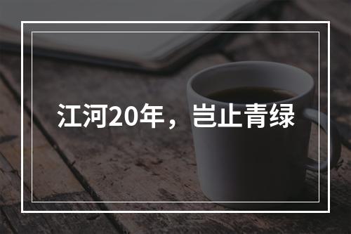 江河20年，岂止青绿