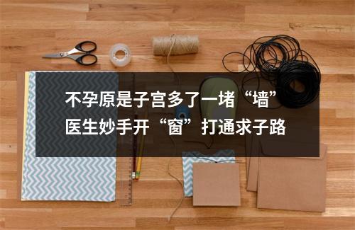 不孕原是子宫多了一堵“墙” 医生妙手开“窗”打通求子路