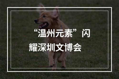 “温州元素”闪耀深圳文博会