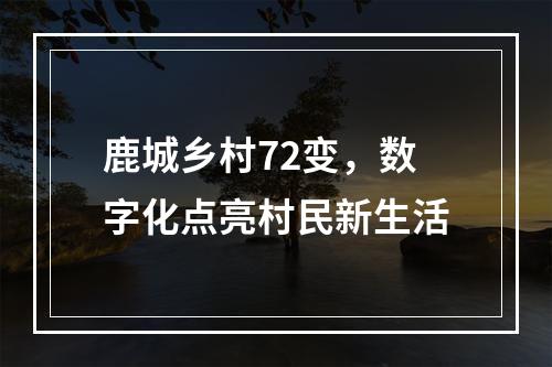 鹿城乡村72变，数字化点亮村民新生活