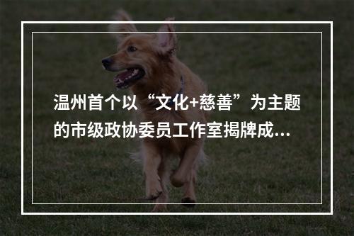 温州首个以“文化+慈善”为主题的市级政协委员工作室揭牌成立