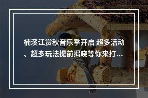 楠溪江赏秋音乐季开启 超多活动、超多玩法提前揭晓等你来打卡