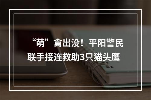 “萌”禽出没！平阳警民联手接连救助3只猫头鹰