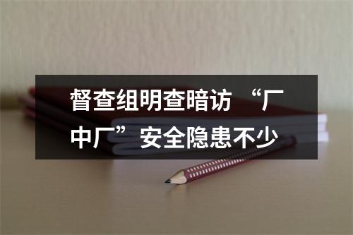 督查组明查暗访 “厂中厂”安全隐患不少
