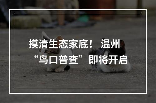 摸清生态家底！ 温州“鸟口普查”即将开启