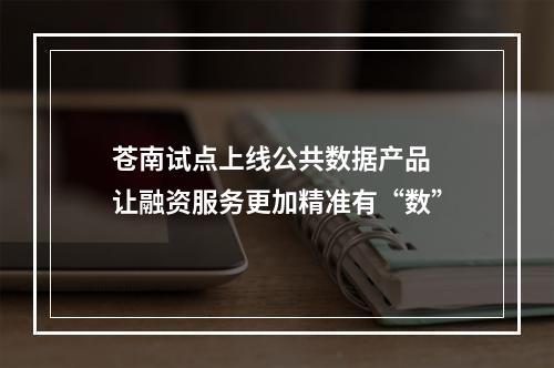 苍南试点上线公共数据产品 让融资服务更加精准有“数”