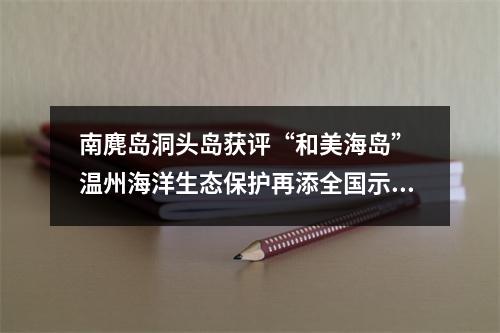 南麂岛洞头岛获评“和美海岛” 温州海洋生态保护再添全国示范