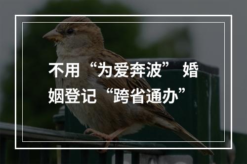 不用“为爱奔波” 婚姻登记“跨省通办”