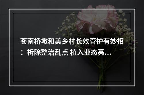 苍南桥墩和美乡村长效管护有妙招：拆除整治乱点 植入业态亮点