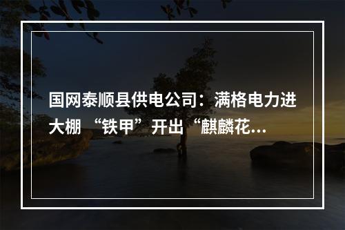 国网泰顺县供电公司：满格电力进大棚 “铁甲”开出“麒麟花”