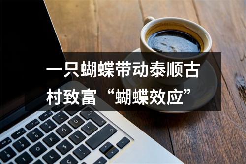 一只蝴蝶带动泰顺古村致富“蝴蝶效应”
