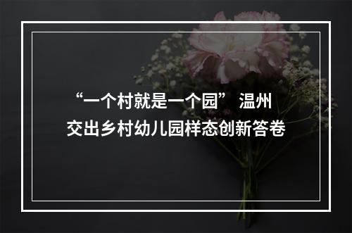 “一个村就是一个园” 温州交出乡村幼儿园样态创新答卷