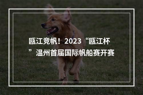 瓯江竞帆！2023“瓯江杯”温州首届国际帆船赛开赛