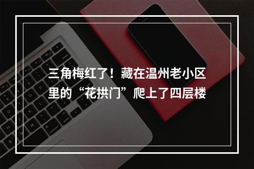 三角梅红了！藏在温州老小区里的“花拱门”爬上了四层楼