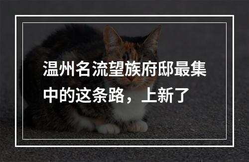 温州名流望族府邸最集中的这条路，上新了