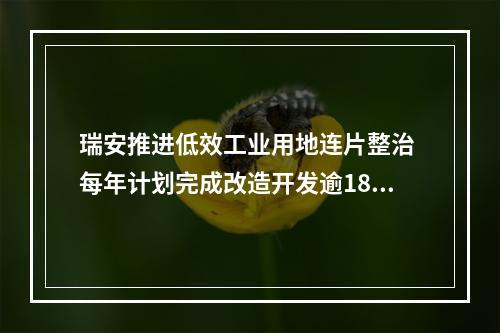 瑞安推进低效工业用地连片整治 每年计划完成改造开发逾1800亩