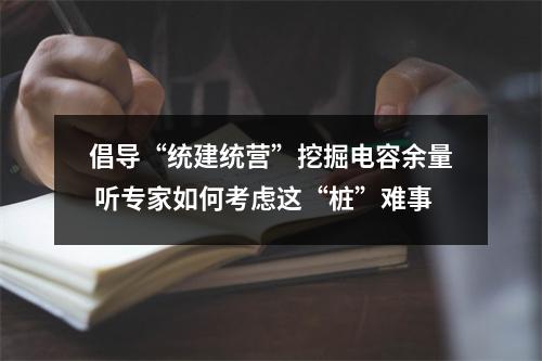 倡导“统建统营”挖掘电容余量 听专家如何考虑这“桩”难事