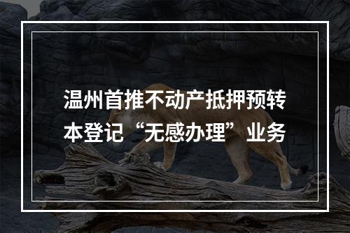 温州首推不动产抵押预转本登记“无感办理”业务