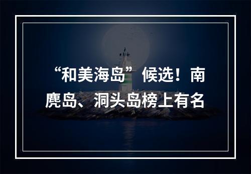 “和美海岛”候选！南麂岛、洞头岛榜上有名