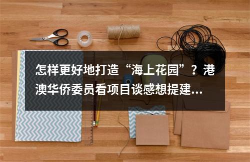 怎样更好地打造“海上花园”？港澳华侨委员看项目谈感想提建议