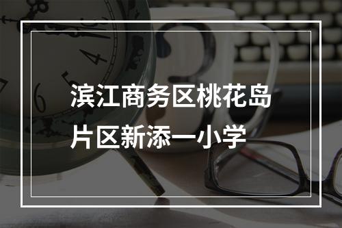 滨江商务区桃花岛片区新添一小学