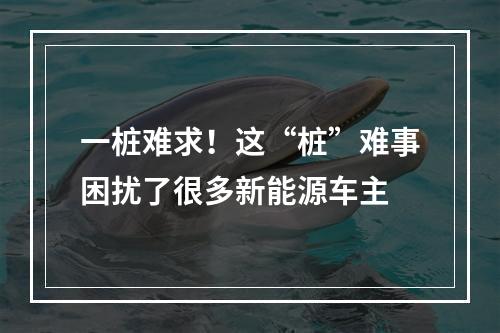 一桩难求！这“桩”难事困扰了很多新能源车主