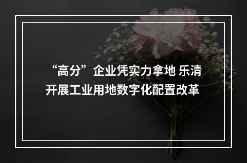 “高分”企业凭实力拿地 乐清开展工业用地数字化配置改革