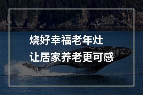 烧好幸福老年灶 让居家养老更可感