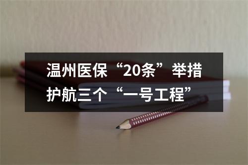 温州医保“20条”举措护航三个“一号工程”