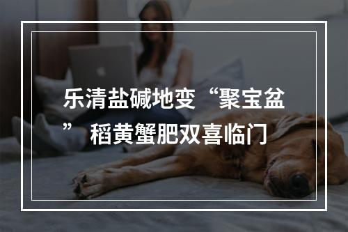 乐清盐碱地变“聚宝盆” 稻黄蟹肥双喜临门