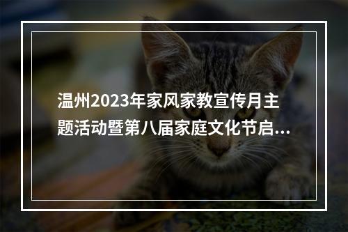 温州2023年家风家教宣传月主题活动暨第八届家庭文化节启动仪式举行