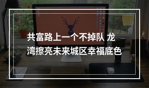 共富路上一个不掉队 龙湾擦亮未来城区幸福底色