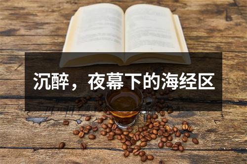 沉醉，夜幕下的海经区